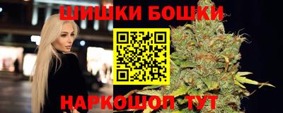 гашик Гай