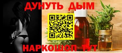 амф Гатчина