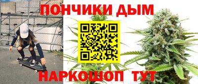 гашик Гай
