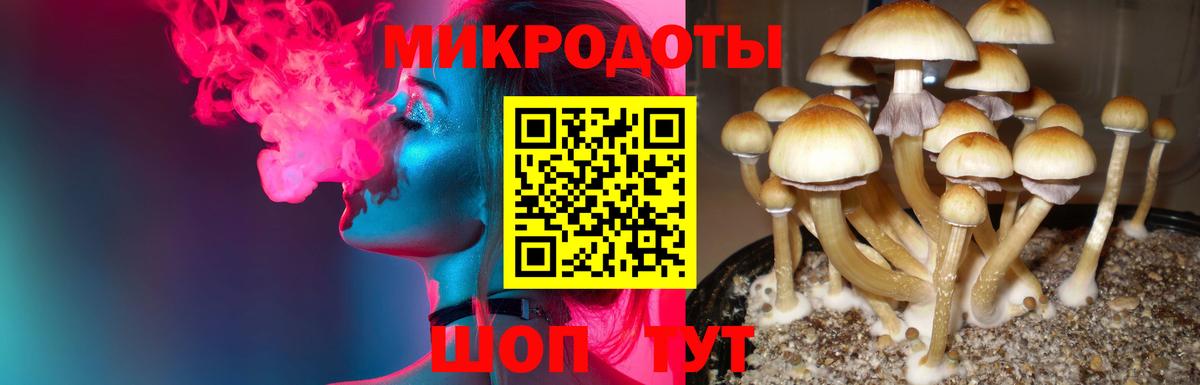 Галлюциногенные грибы Cubensis Находка
